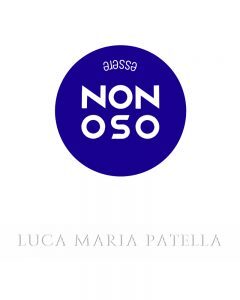 Luca Maria Patella, non oso, copertina, galleria Il Ponte, Firenze