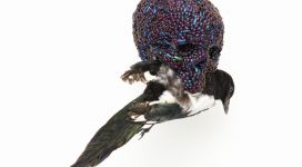 Skull with magpie, 2011, mixture of jewel beetle wing-cases, polymers, stuffed bird, 39x23x34 cm