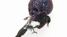 Skull with magpie, 2011, mixture of jewel beetle wing-cases, polymers, stuffed bird, 39x23x34 cm